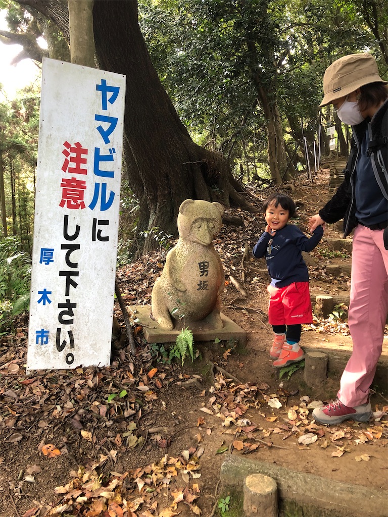 f:id:yama-papa:20201122192421j:image f:id:yama-papa:20201122192421j:image