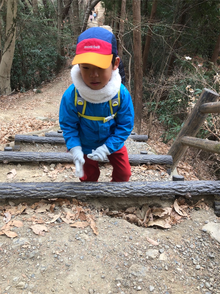 f:id:yama-papa:20210117164258j:image f:id:yama-papa:20210117164258j:image