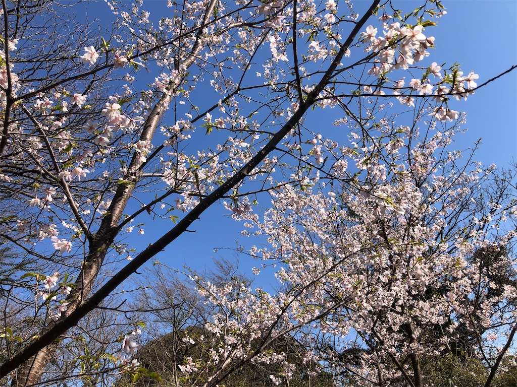 f:id:yama-papa:20210222164249j:image f:id:yama-papa:20210222164249j:image