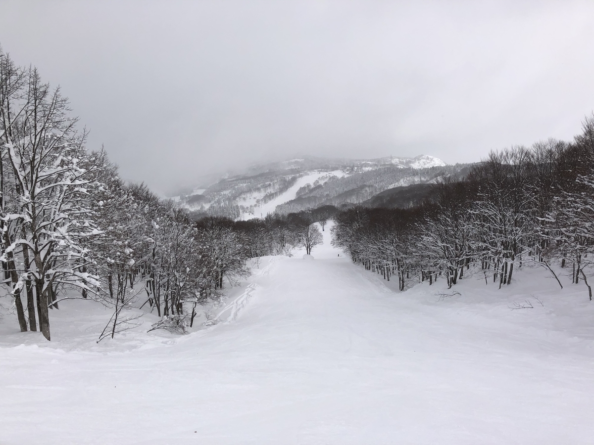 f:id:yama10camp:20210105152651j:plain