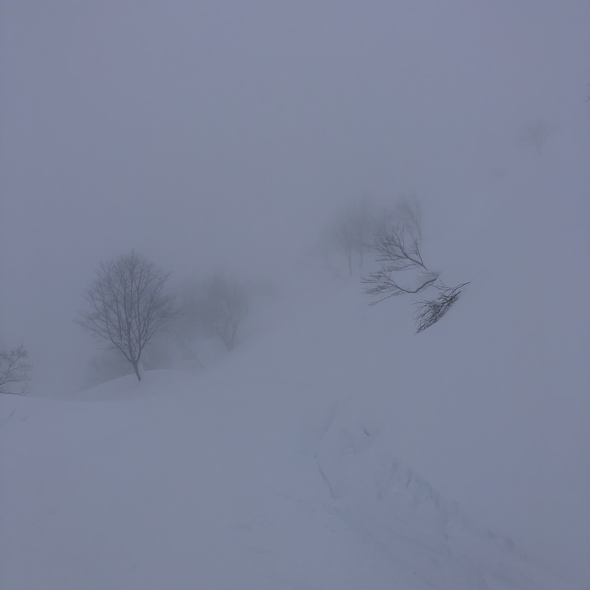 f:id:yama10camp:20210105163718j:plain