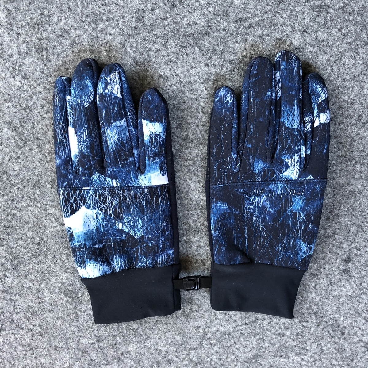 f:id:yama10camp:20210106215452j:plain