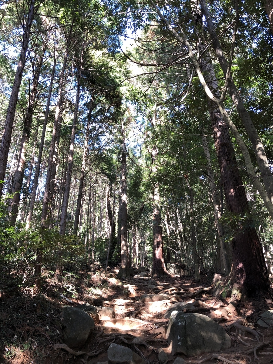 f:id:yama10camp:20210315223332j:plain