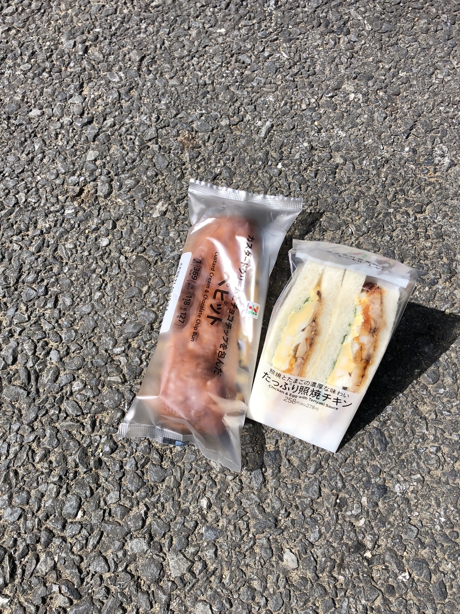 f:id:yama10camp:20210318193947j:plain