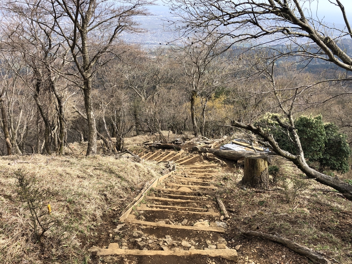 f:id:yama10camp:20210404224550j:plain