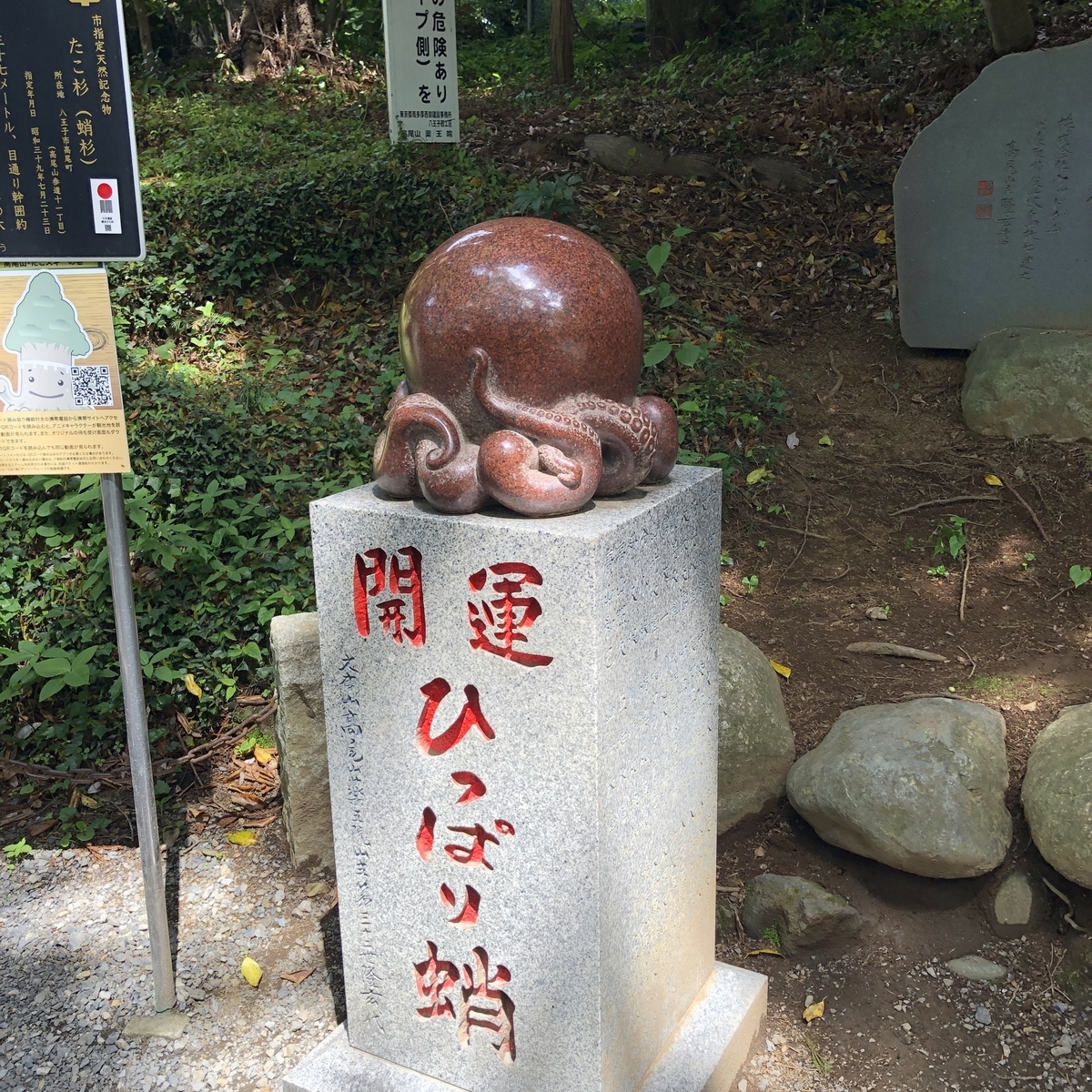 f:id:yama10camp:20210609003156j:plain
