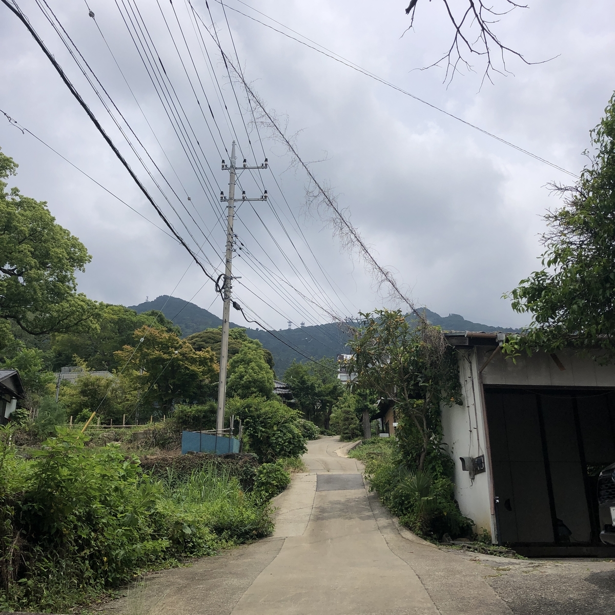 f:id:yama10camp:20210619164206j:plain