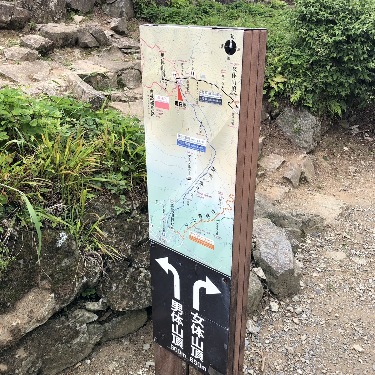 f:id:yama10camp:20210619165301j:plain