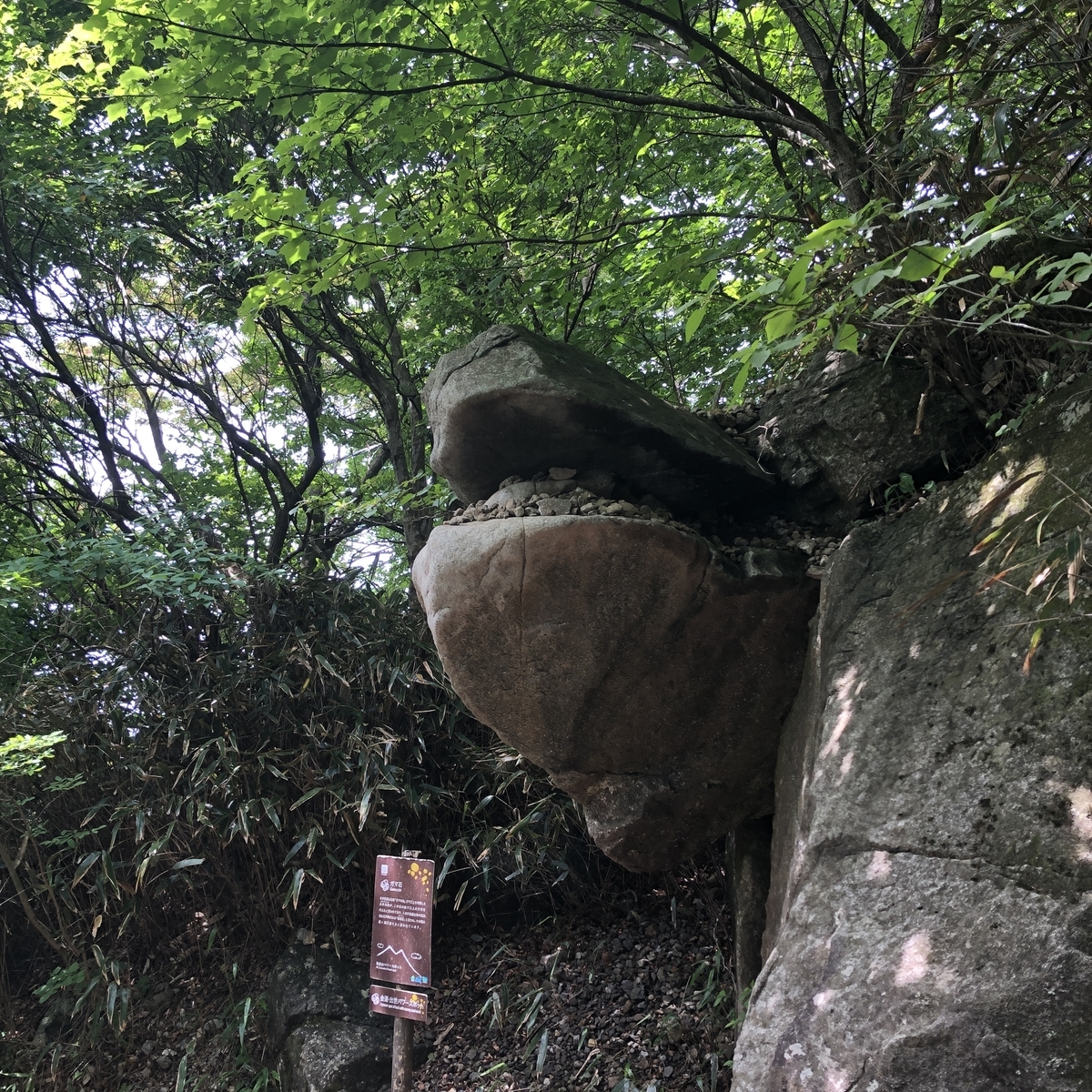 f:id:yama10camp:20210619171058j:plain