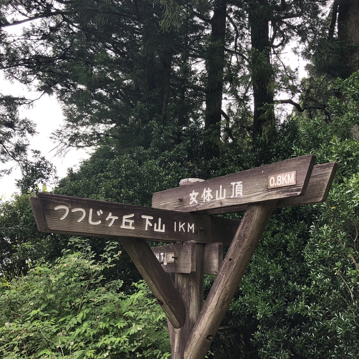 f:id:yama10camp:20210619171647j:plain