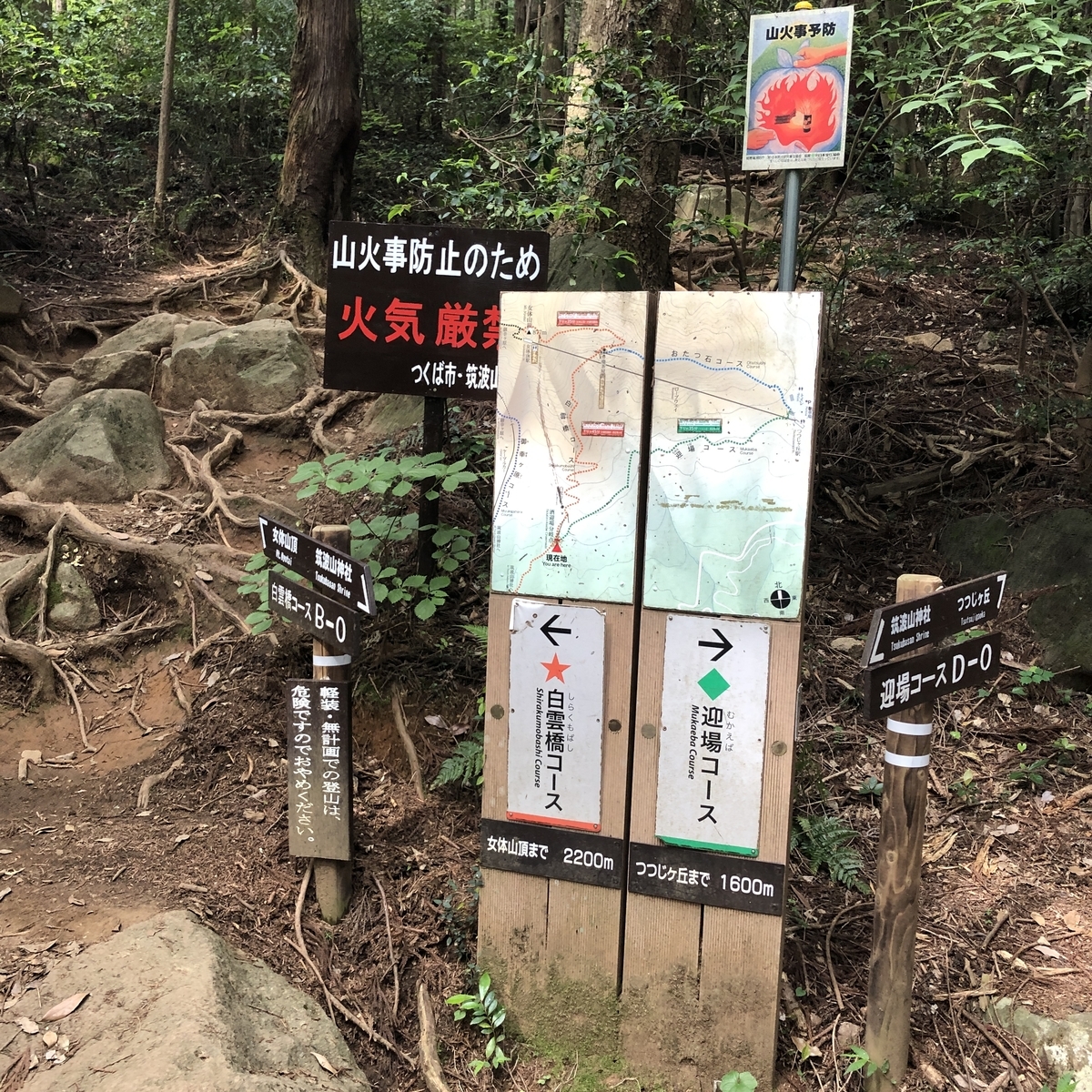 f:id:yama10camp:20210619174009j:plain