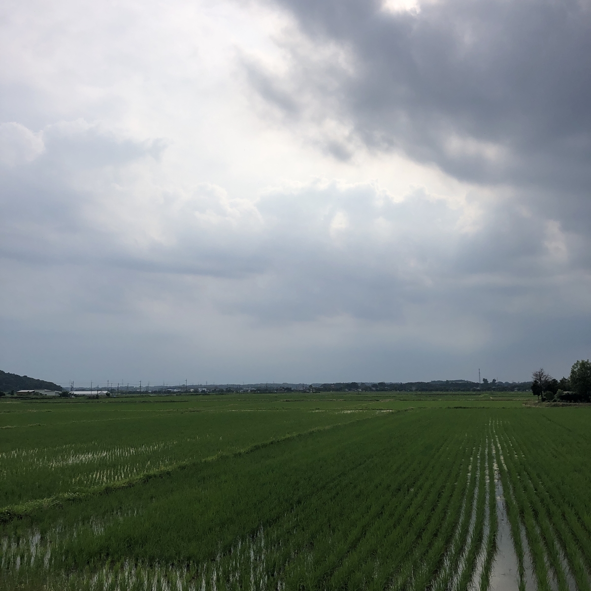 f:id:yama10camp:20210619174310j:plain
