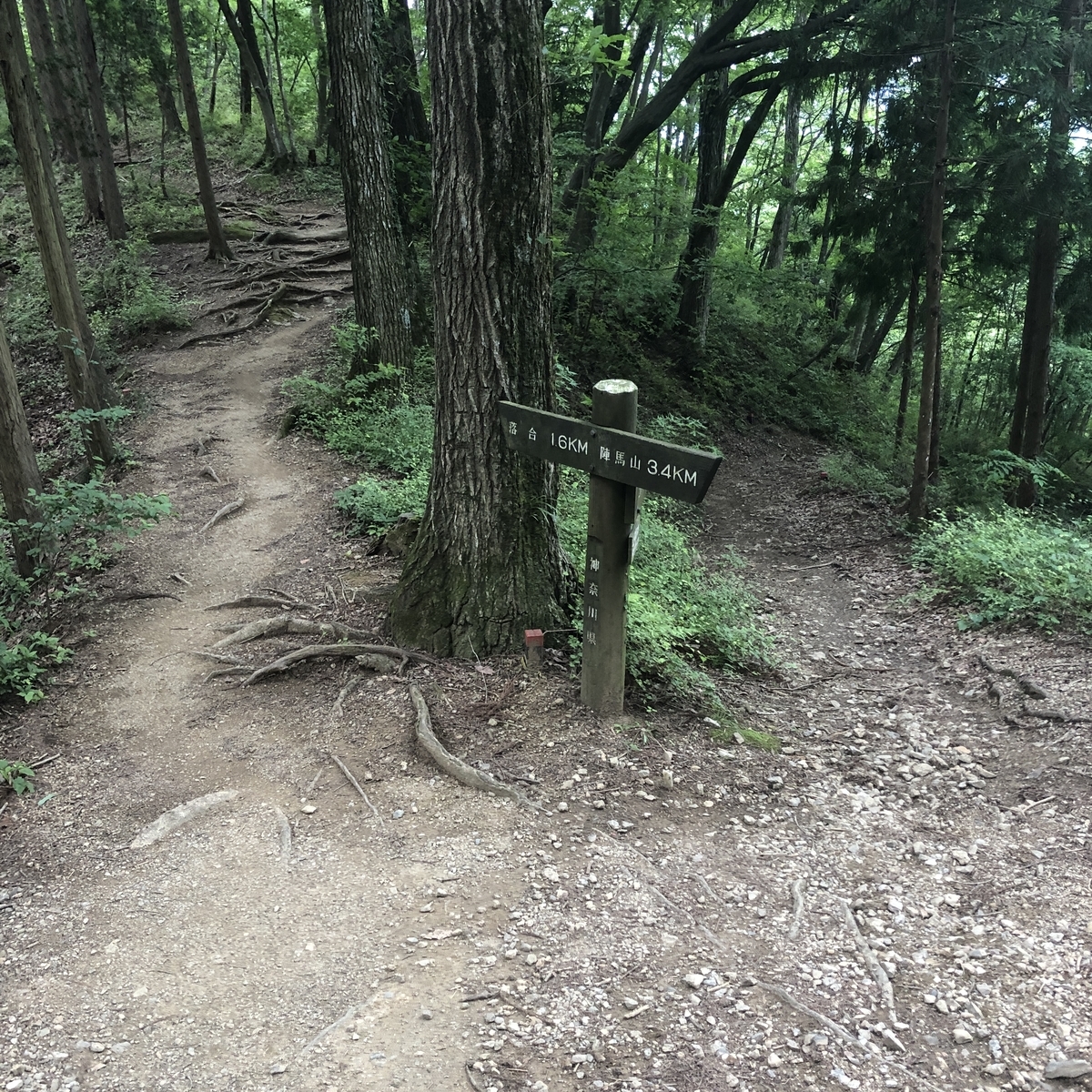 f:id:yama10camp:20210625142815j:plain