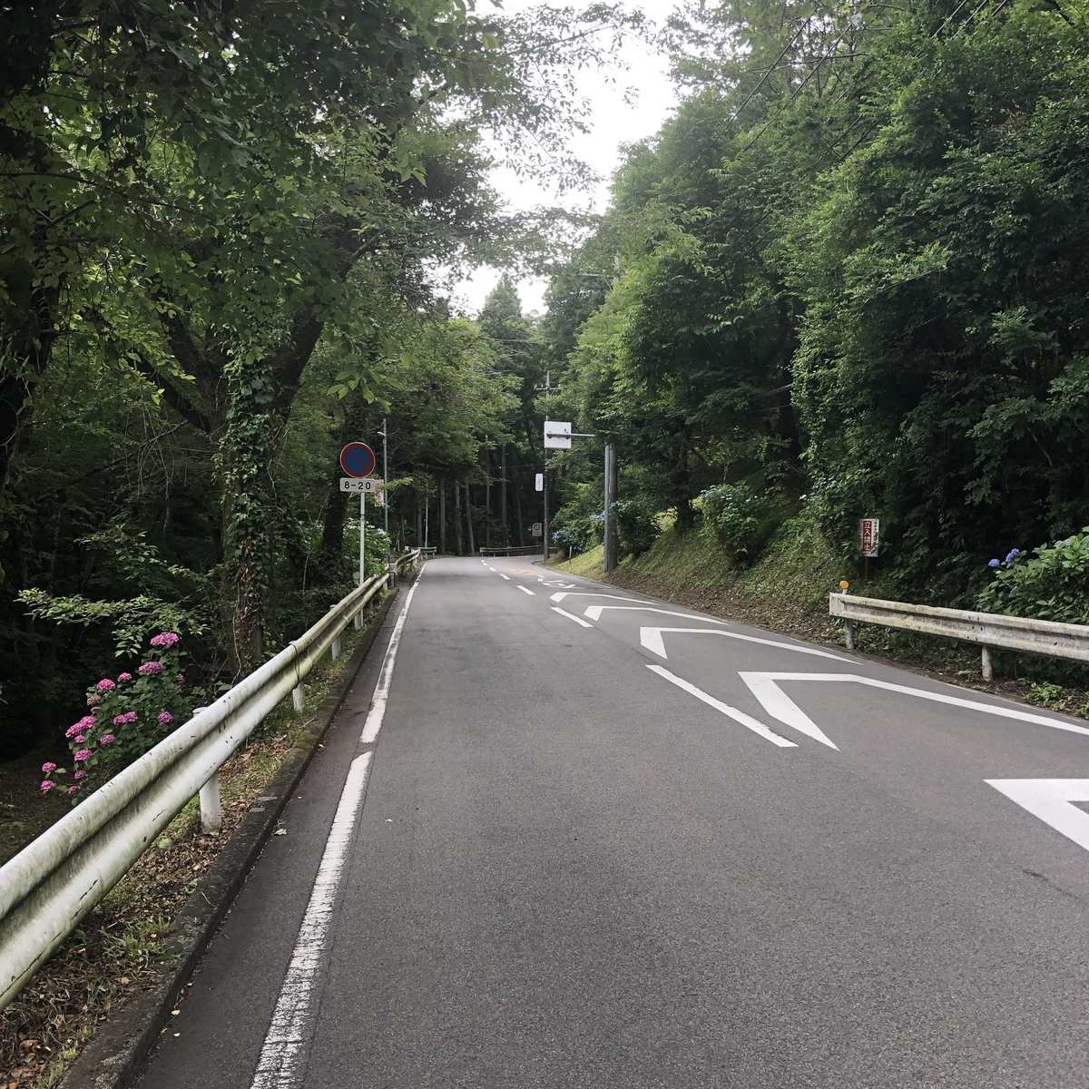 f:id:yama10camp:20210625142906j:plain