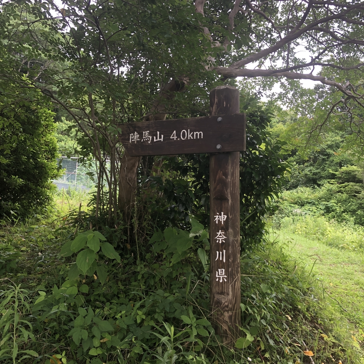 f:id:yama10camp:20210625164938j:plain