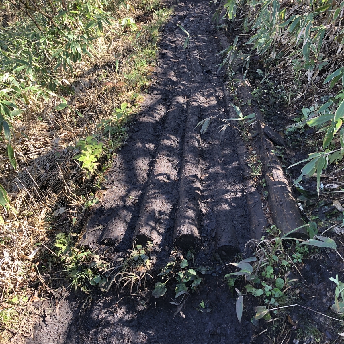 f:id:yama10camp:20211026172654j:plain