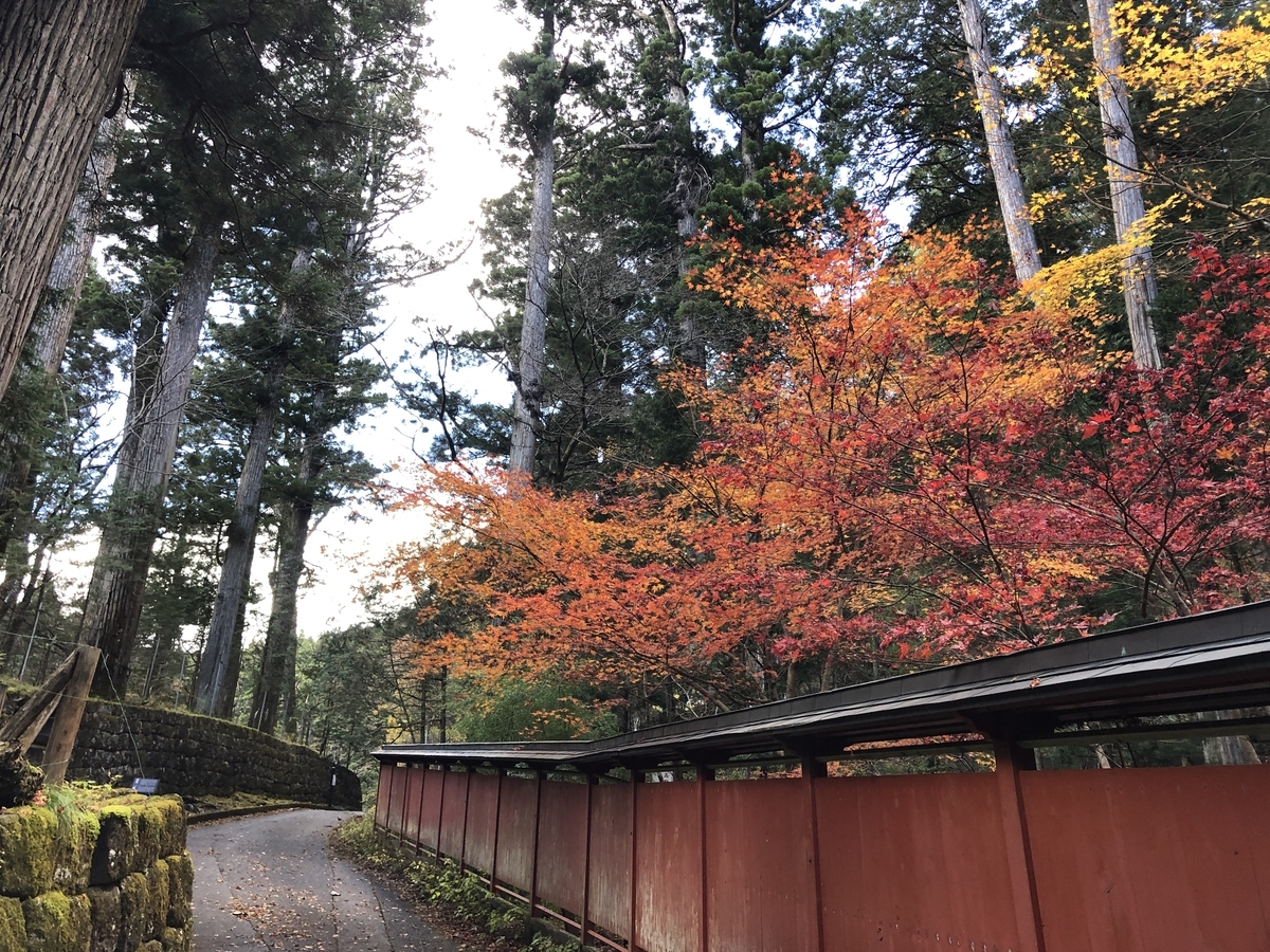 f:id:yama10camp:20211113205054j:plain