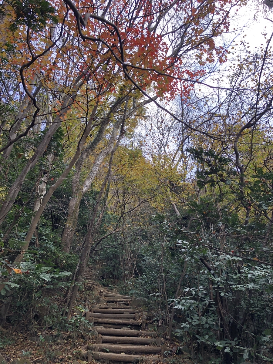 f:id:yama10camp:20211121152248j:plain