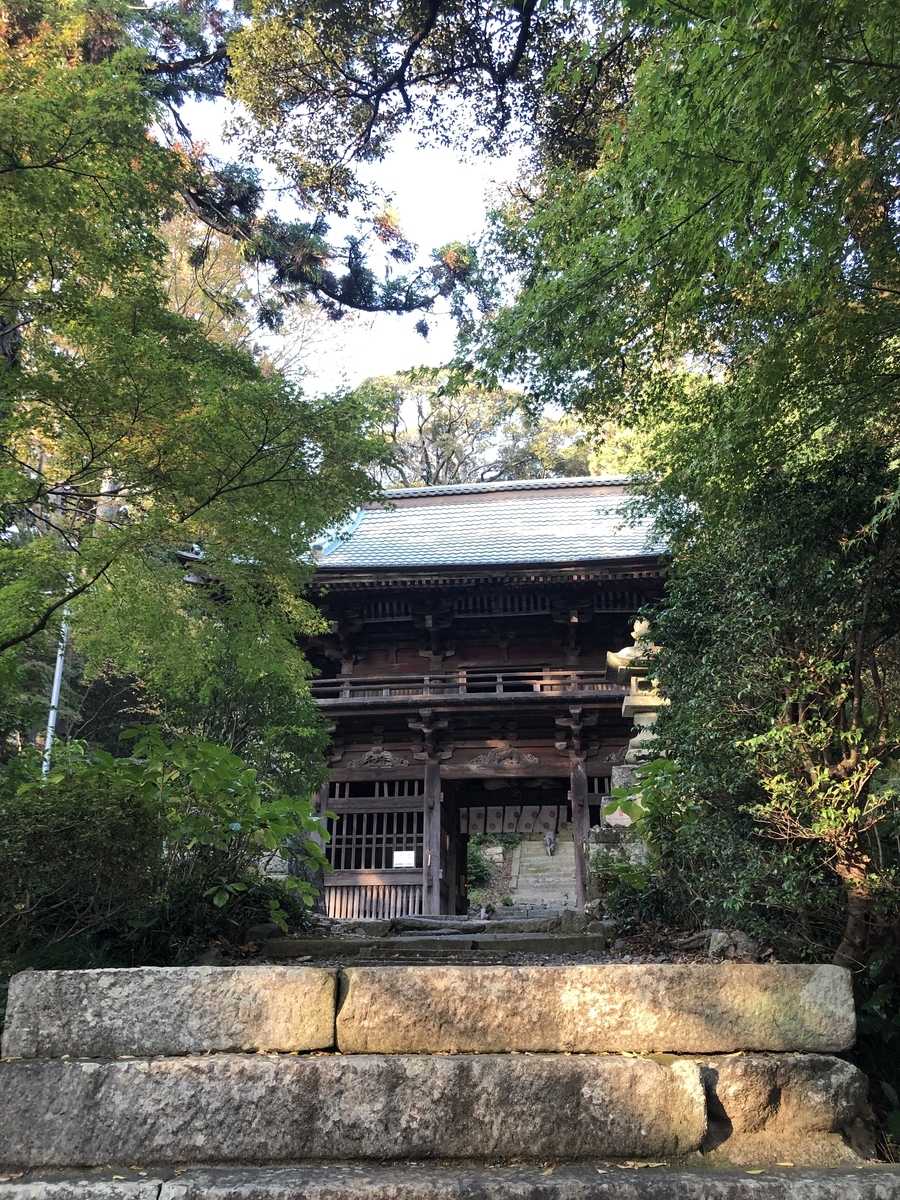 f:id:yama10camp:20211121155542j:plain