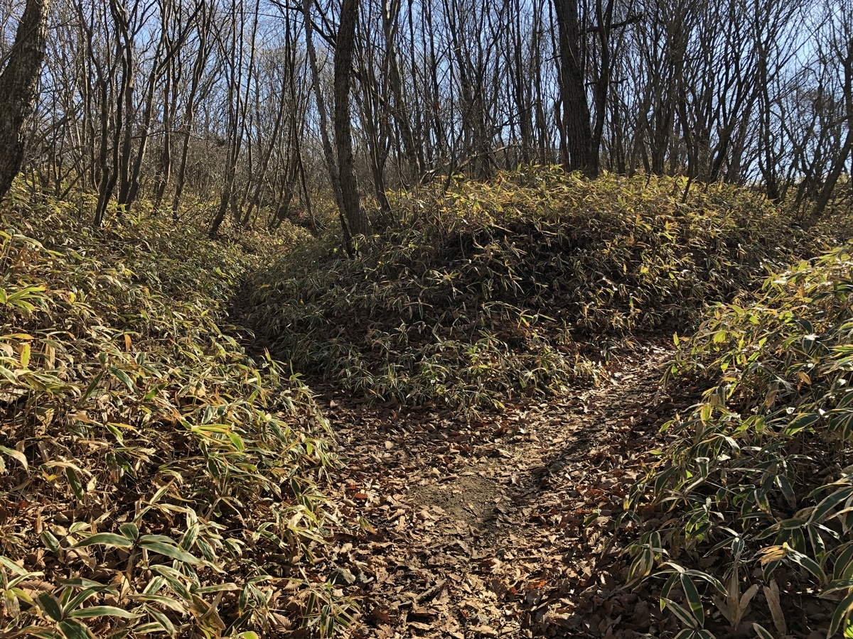 f:id:yama10camp:20211213133023j:plain