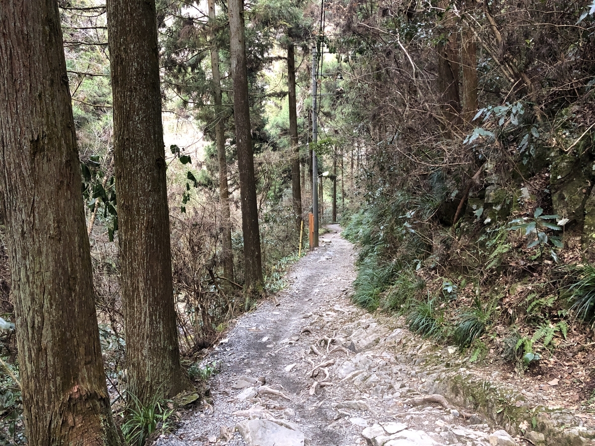 f:id:yama10camp:20220123171902j:plain