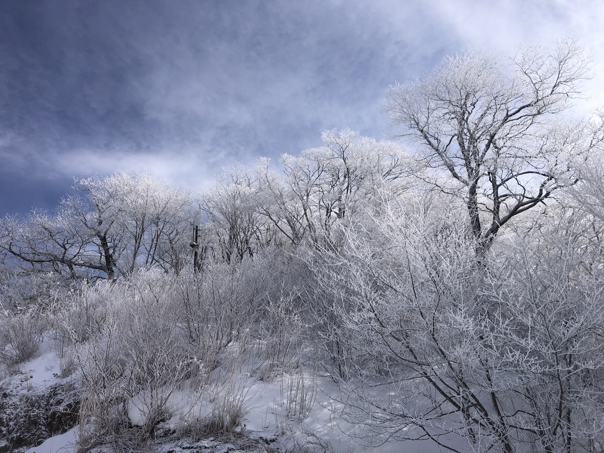 f:id:yama10camp:20220210141837j:plain