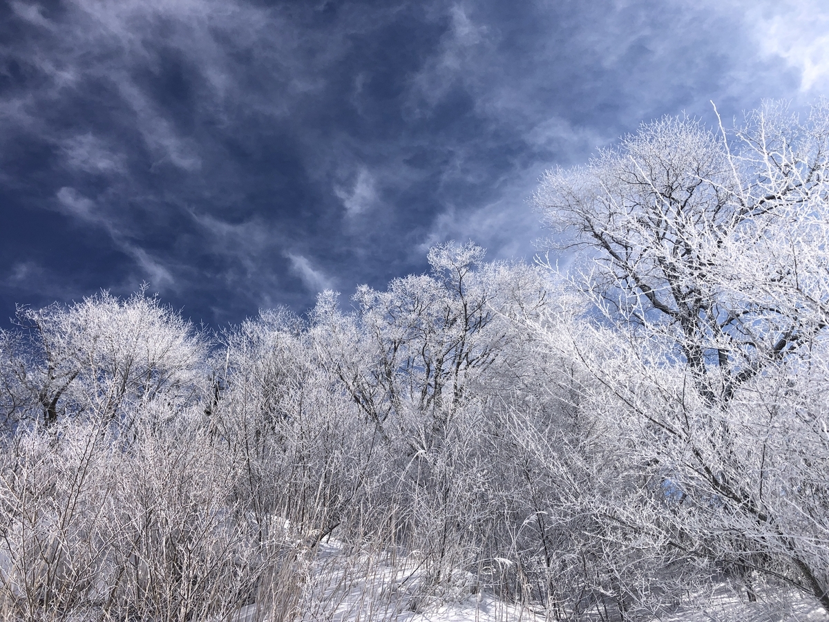 f:id:yama10camp:20220210142107j:plain