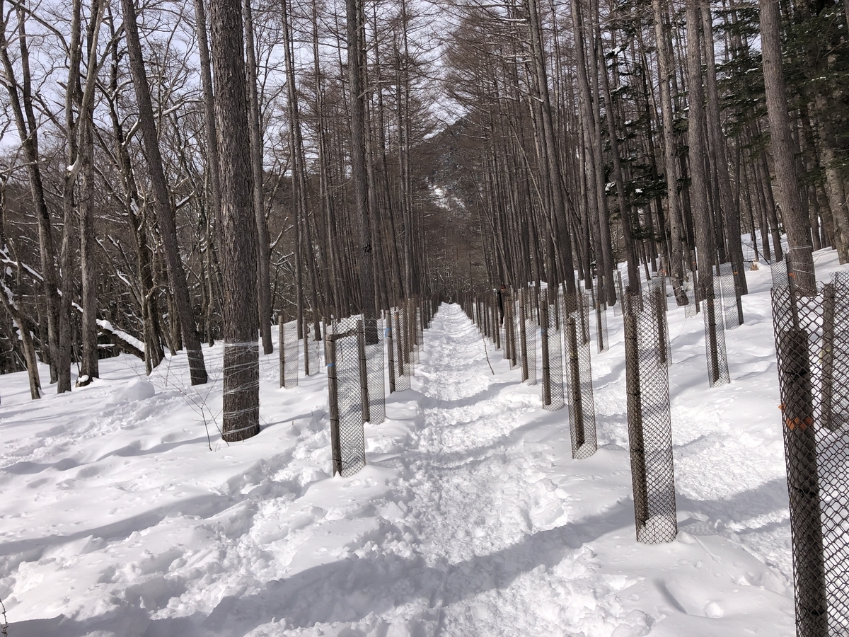 f:id:yama10camp:20220214105659j:plain