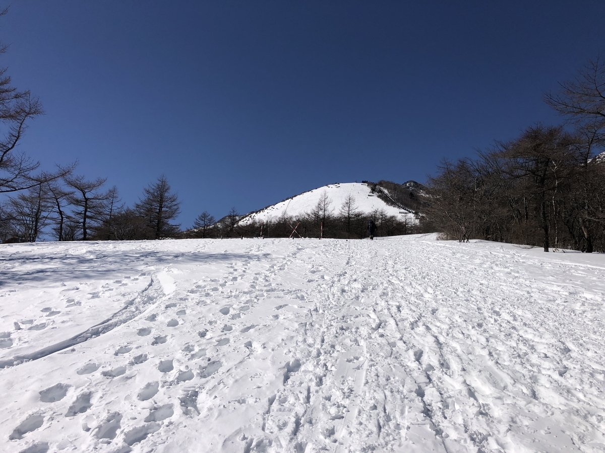 f:id:yama10camp:20220227125511j:plain