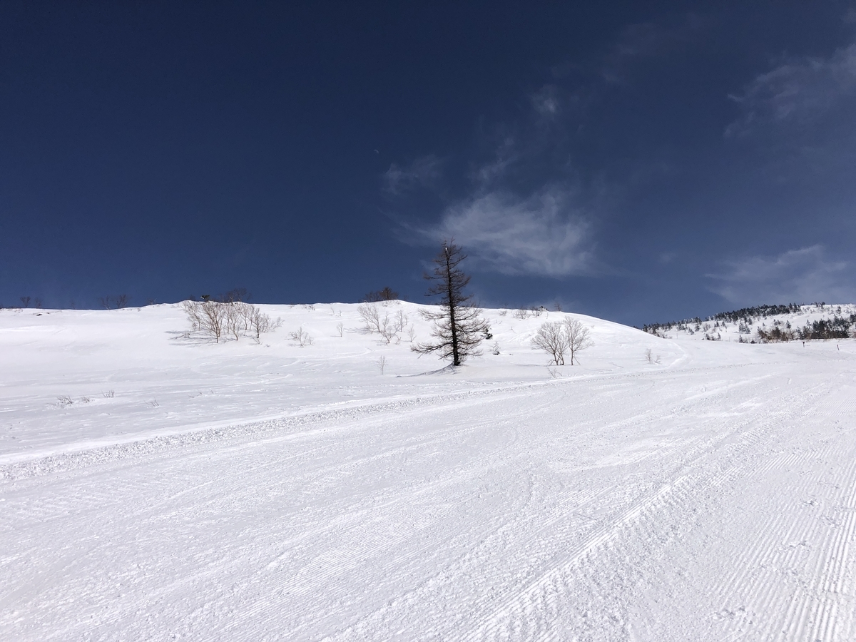 f:id:yama10camp:20220312222721j:plain