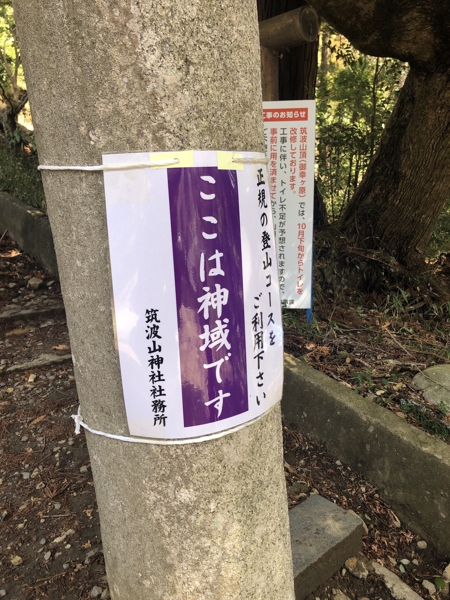 f:id:yama10camp:20220321162437j:plain