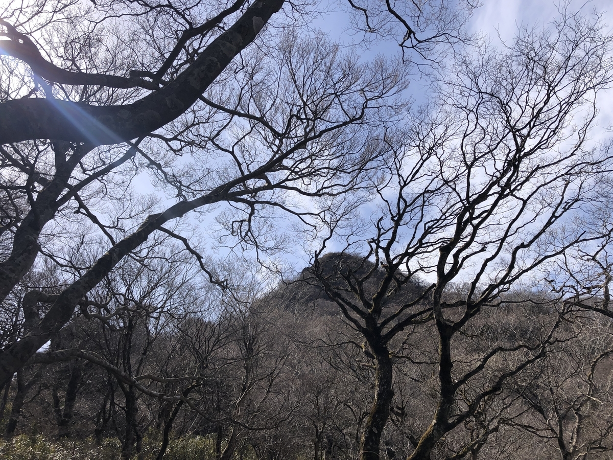 f:id:yama10camp:20220321221512j:plain