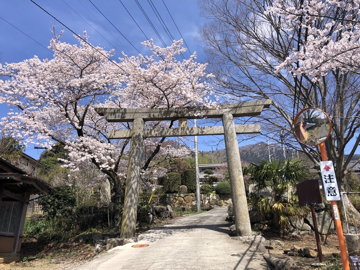 f:id:yama10camp:20220403160559j:plain