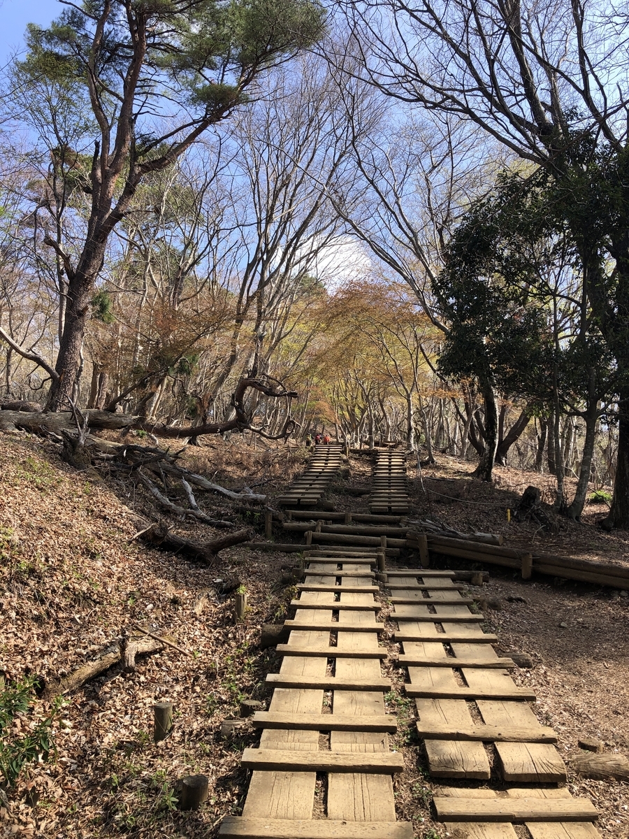 f:id:yama10camp:20220410152204j:plain