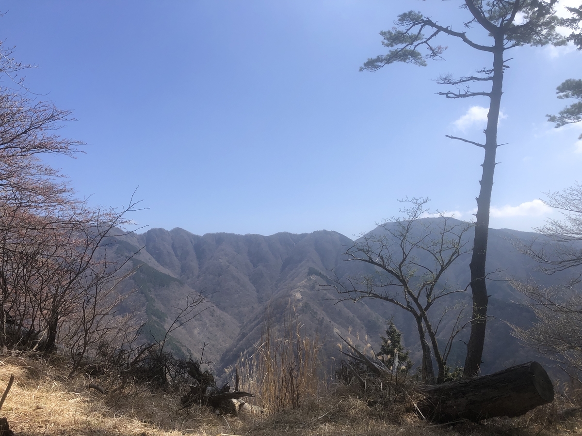 f:id:yama10camp:20220410152743j:plain