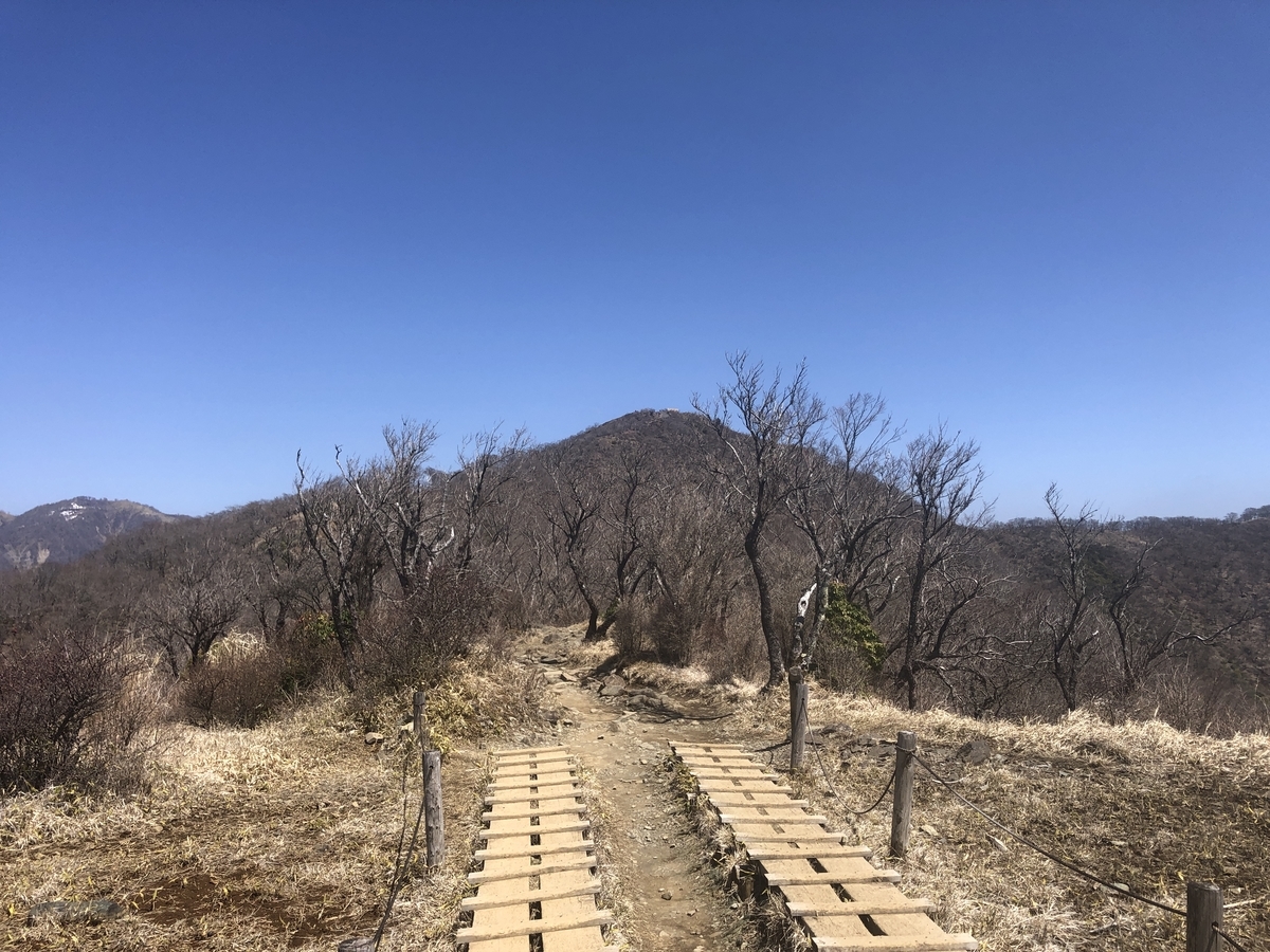 f:id:yama10camp:20220410155634j:plain