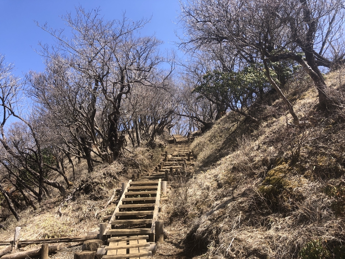 f:id:yama10camp:20220410160006j:plain