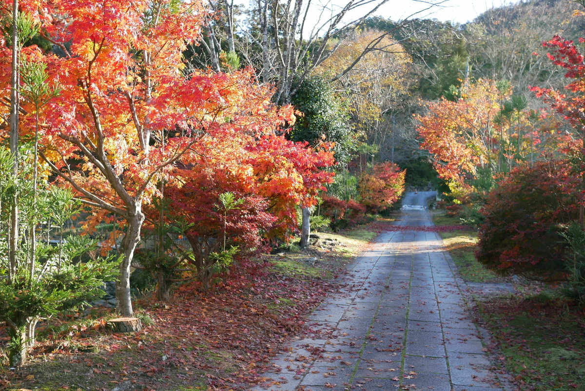 f:id:yama300gifu:20201124062947j:plain