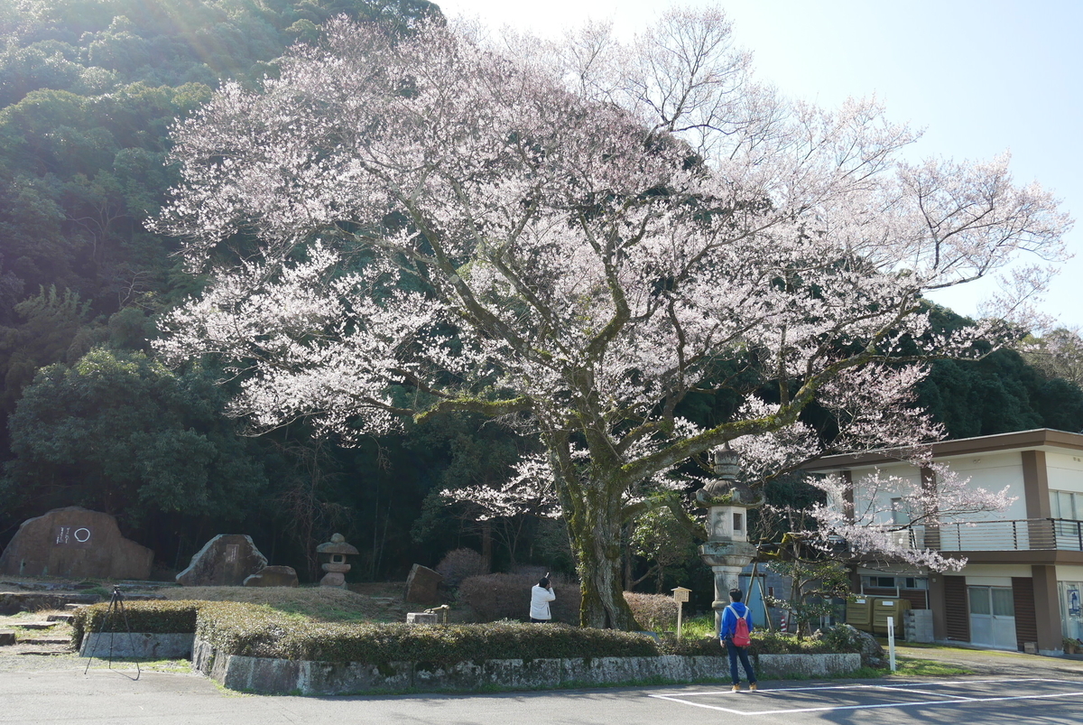 f:id:yama300gifu:20210314185928j:plain