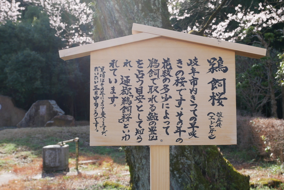 f:id:yama300gifu:20210314185956j:plain