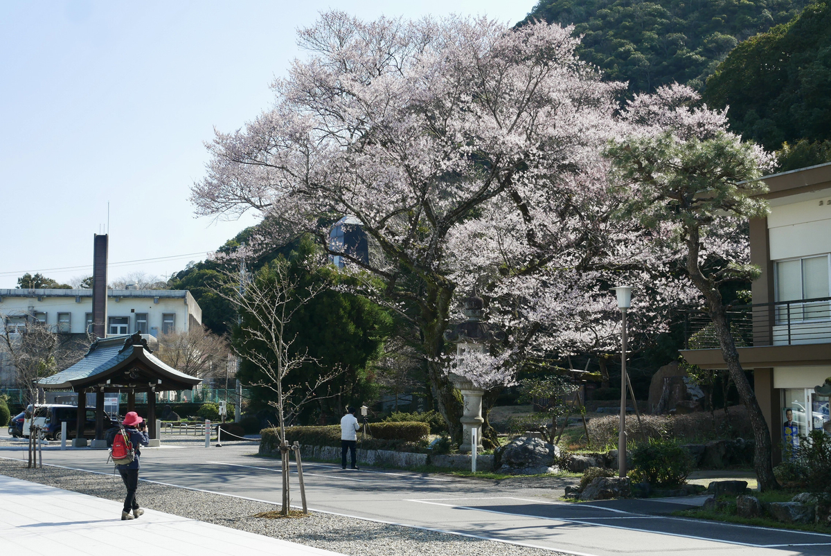 f:id:yama300gifu:20210314190144j:plain