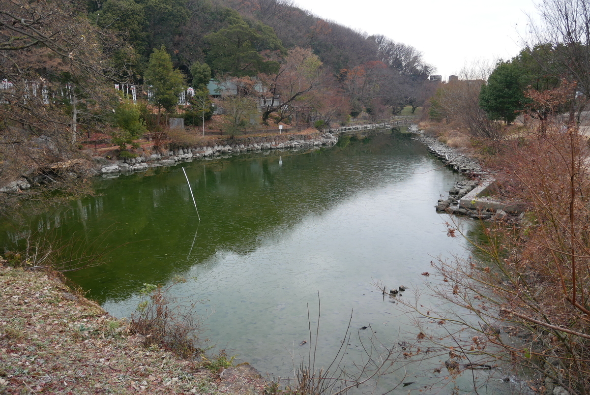 f:id:yama300gifu:20220107064621j:plain