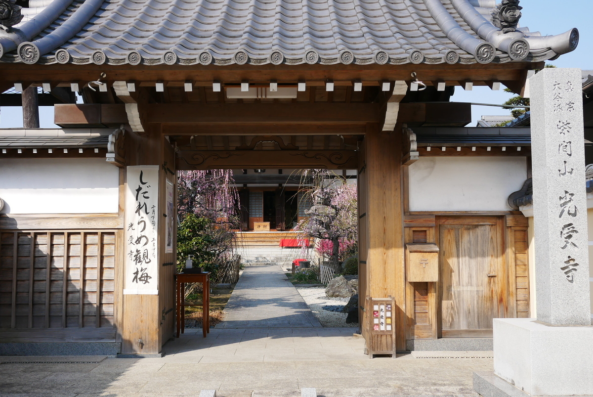 f:id:yama300gifu:20220313064703j:plain