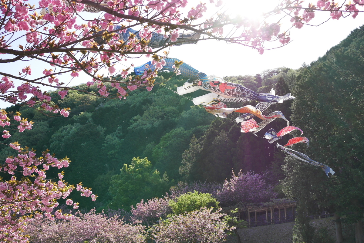 f:id:yama300gifu:20220416142624j:plain