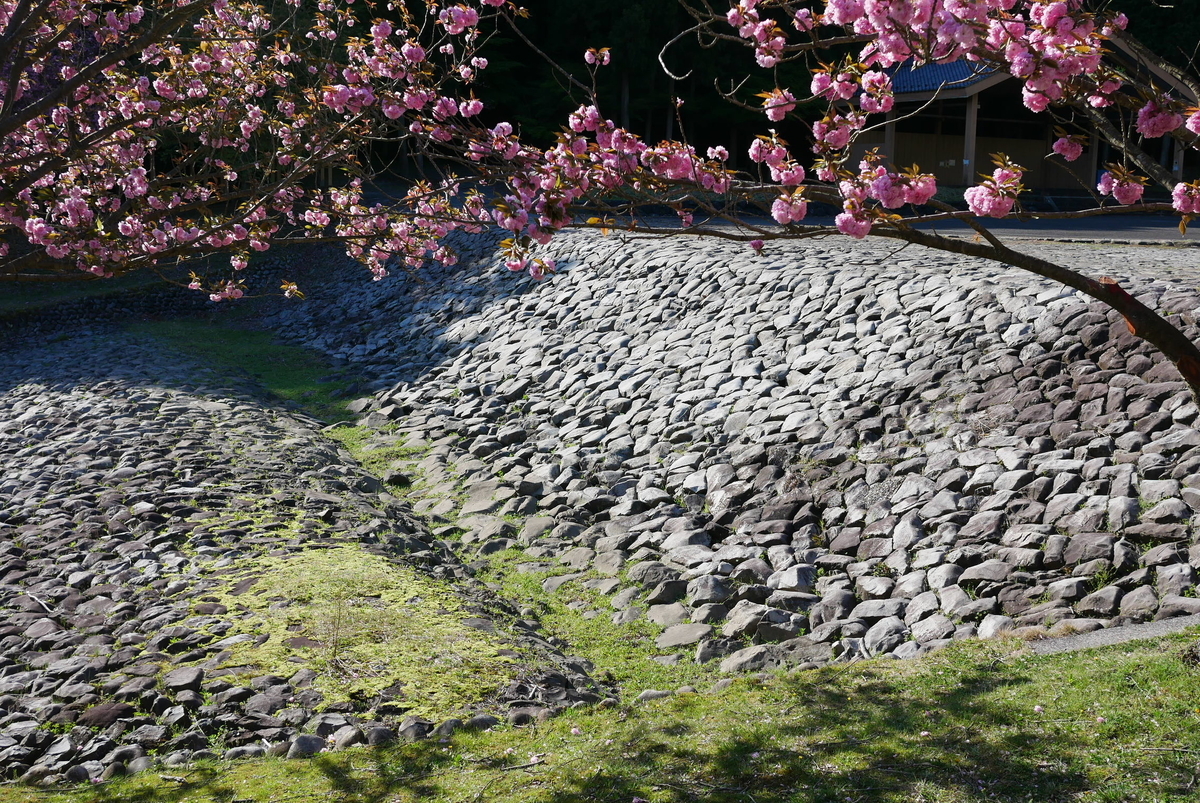 f:id:yama300gifu:20220416142859j:plain