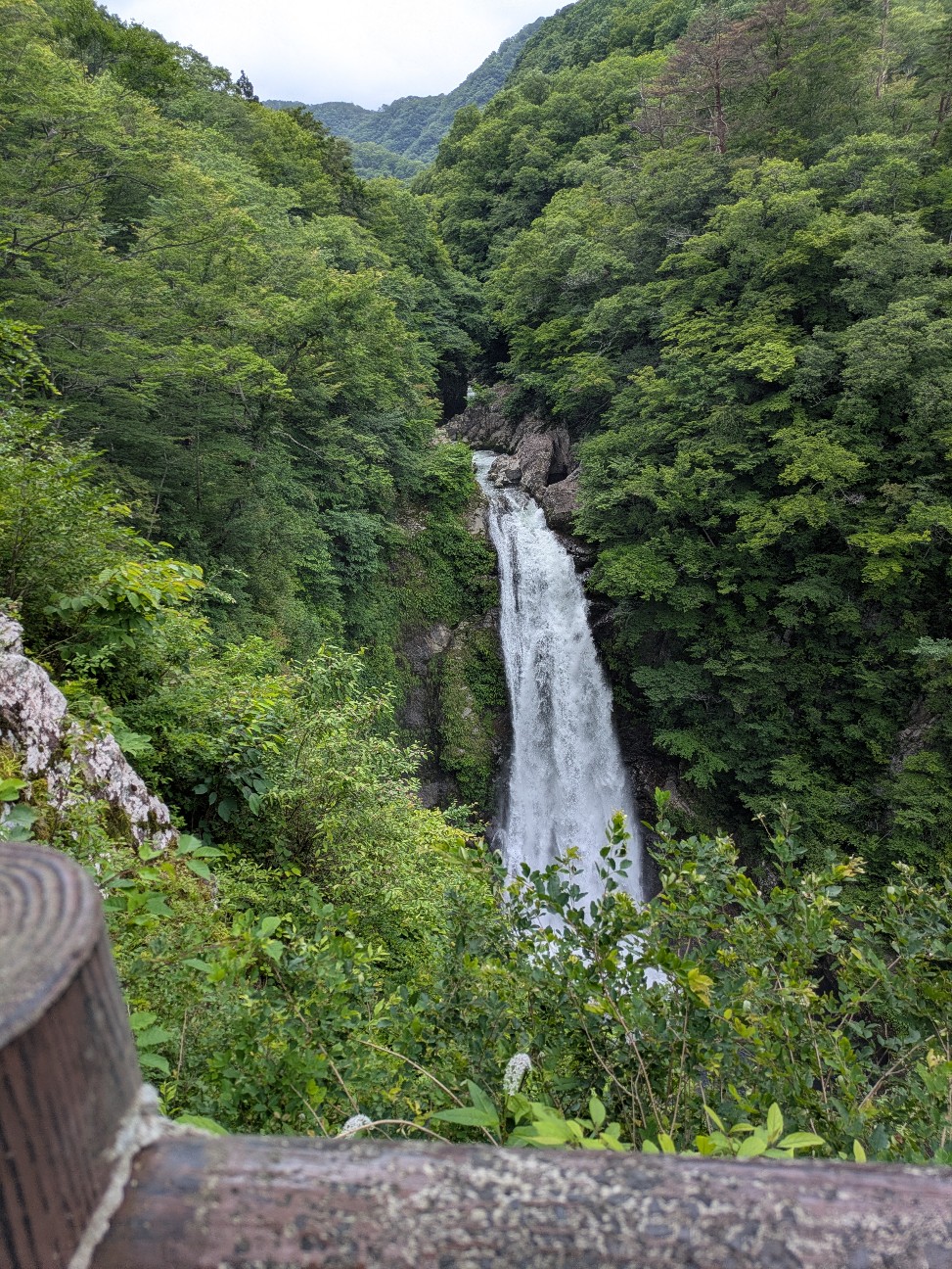 f:id:yama31:20260709154045j:image