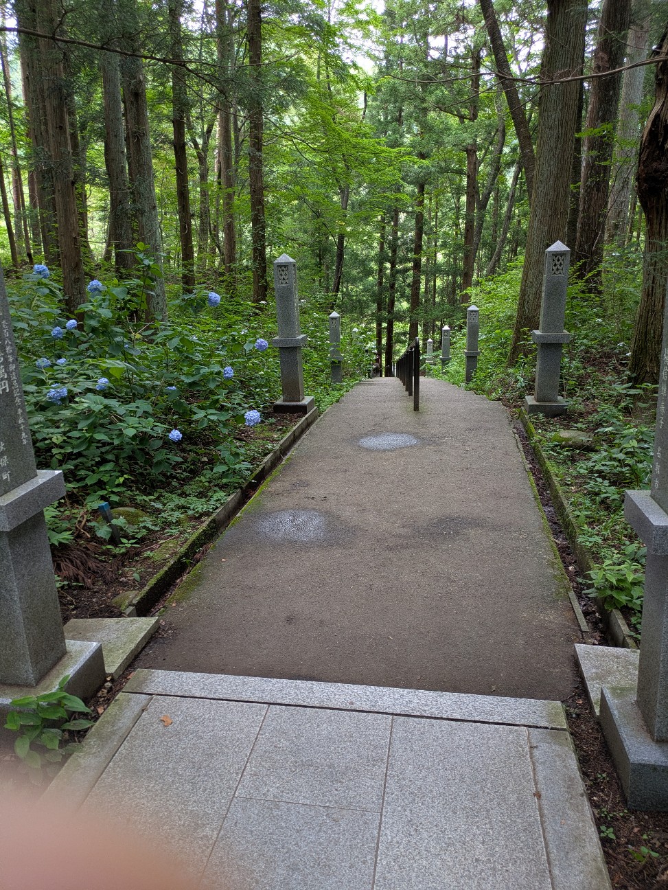 f:id:yama31:20260709154049j:image
