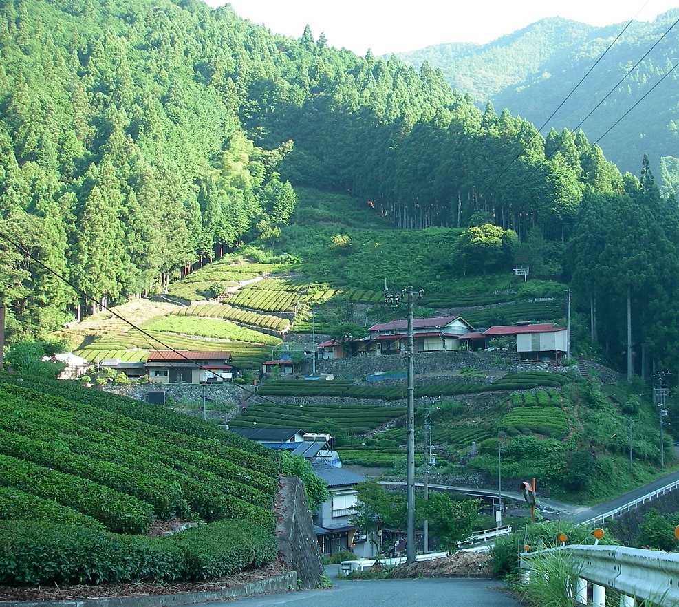 f:id:yama31183:20200530161604j:plain