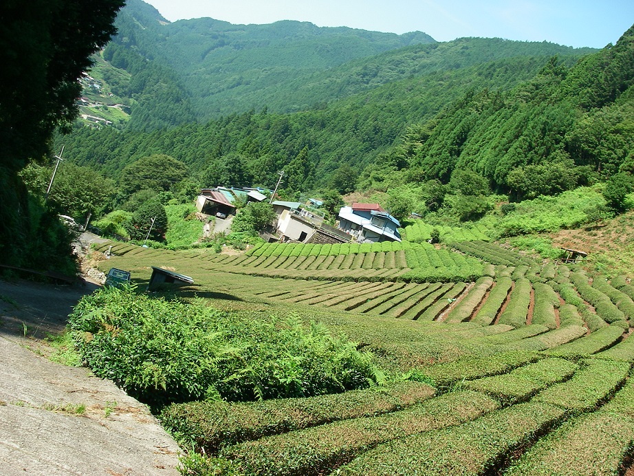 f:id:yama31183:20200530165030j:plain