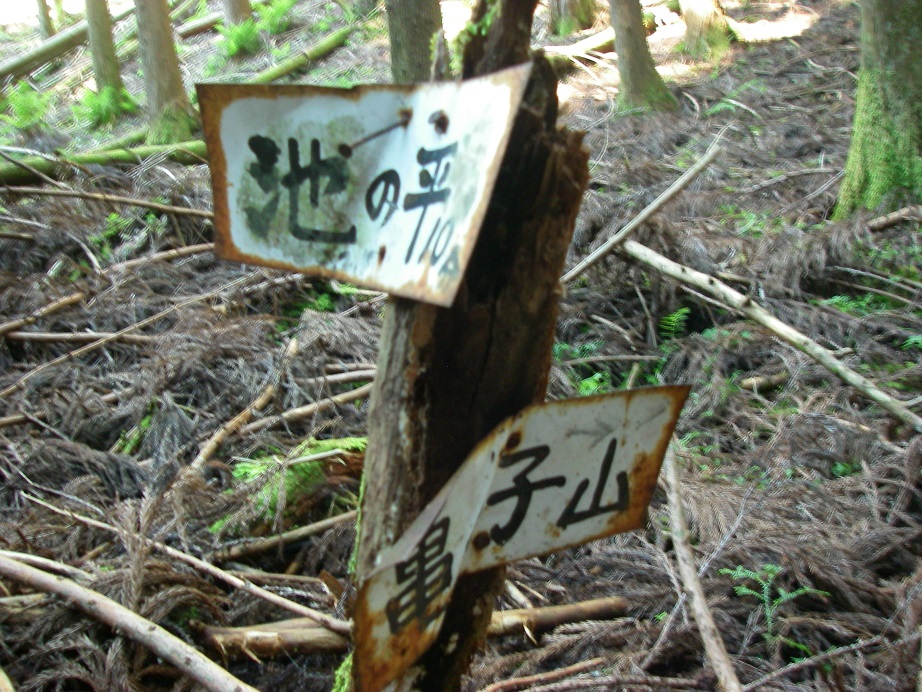 f:id:yama31183:20200530170723j:plain